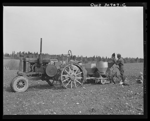 Fort Kent, Aroostock County, Maine. Spring potato planting on the French Acadian farm of Leonard Gagnon. A hired man loading potatoes into the hopper of a seeder