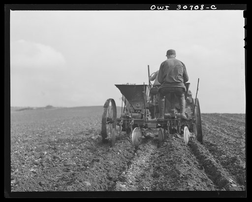 Untitled photo, possibly related to: Fort Kent, Aroostook County, Maine. Spring potato planting on the French Acadian farm of Leonard Gagnon