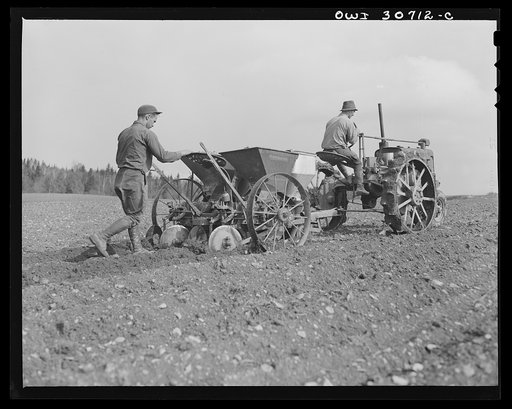 Fort Kent, Aroostook County, Maine. Spring potato planting on the French Acadian farm of Leonard Gagnon