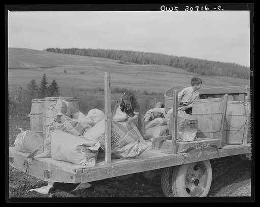 Fort Kent, Aroostook County, Maine. Spring potato planting on the French Acadian farm of Leonard Gagnon. The farmer's children shoving sacks of fertilizer to the edge of the truck