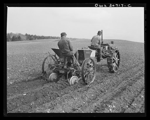 Fort Kent, Aroostook County, Maine. Spring potato planting on the French Acadian farm of Leonard Gagnon