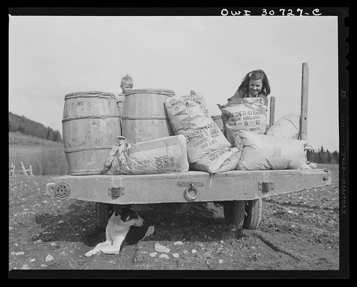 Fort Kent, Aroostook County, Maine. Spring potato planting on the French Acadian farm of Leonard Gagnon. The farmer's children shoving sack of fertilizer to the edge of the truck