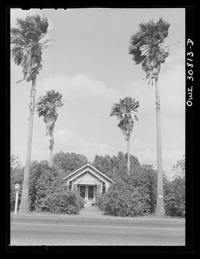Harlingen, Texas. Home of an orange farmer