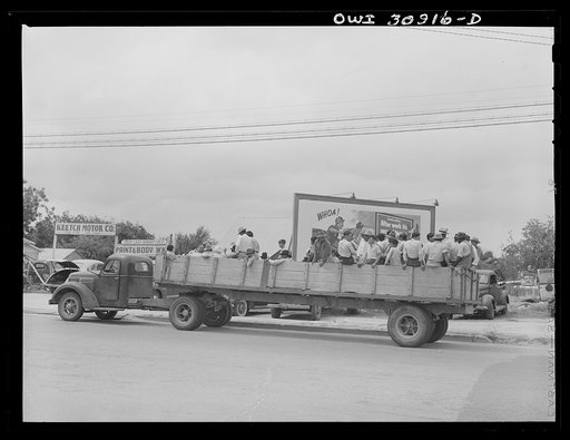 Corpus Christi, Texas. Truckload of Mexican and Negro farm laborers