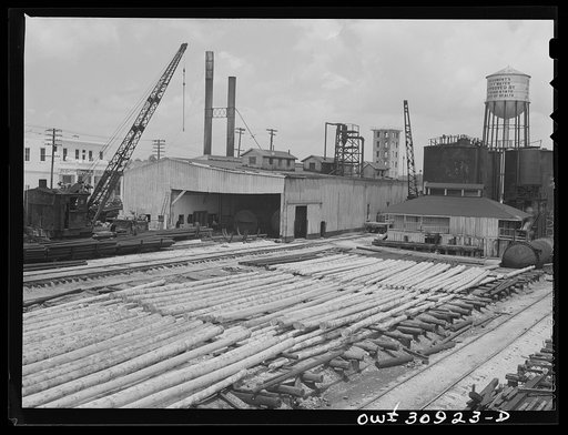 Beaumont, Texas. Poles aging in the yard before being treated with creosote at the International Creosoting Company