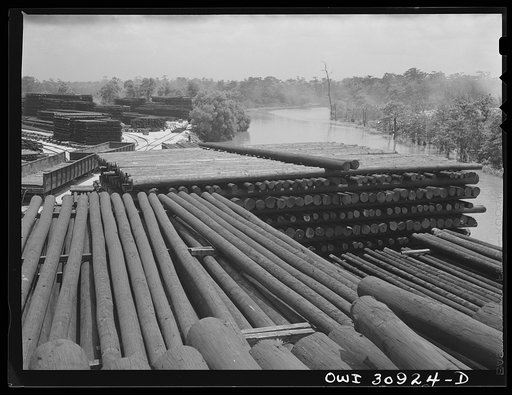 Beaumont, Texas. Treated telephone poles stored in the yard at the International Creosoting Company