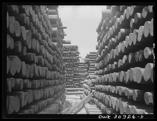Beaumont, Texas. Treated telephone poles stored in the yard at the International Creosoting Company