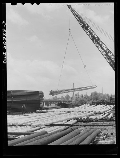 Untitled photo, possibly related to: Beaumont, Texas. Poles aging in the yard before being treated with creosote at the International Creosoting Company