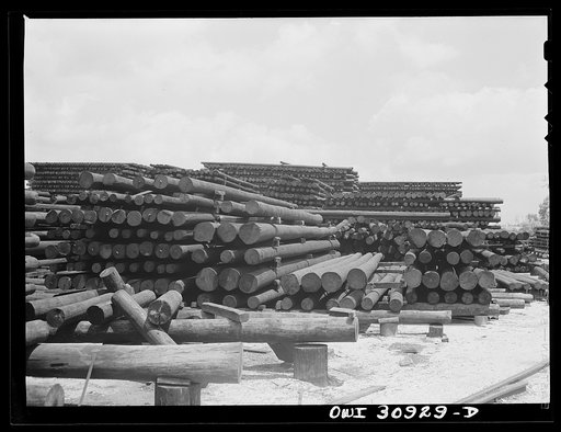 Untitled photo, possibly related to: Beaumont, Texas. Treated telephone poles stored in the yard at the International Creosoting Company