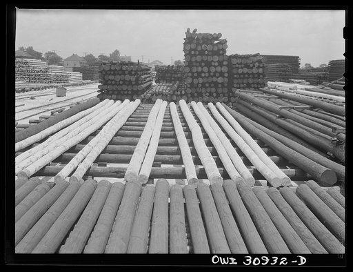 Beaumont, Texas. Treated telephone poles stored in the yard at the International Creosoting Company