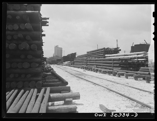 Beaumont, Texas. Treated telephone poles stored in the yard at the International Creosoting Company
