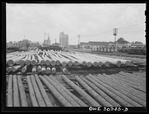 Beaumont, Texas. Treated telephone poles stored in the yard at the International Creosoting Company