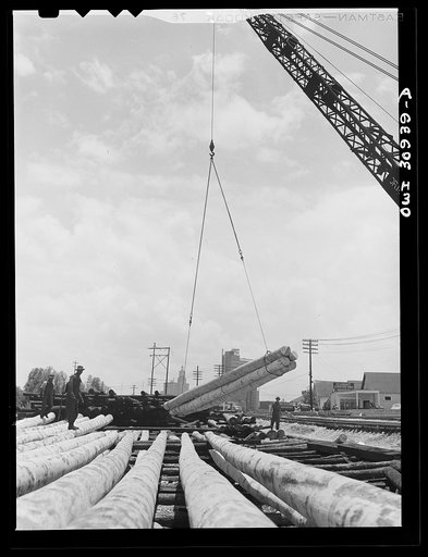 Beaumont, Texas. Crane picking up properly aged poles which will be treated in vats at the International Creosoting Company