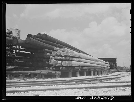 Untitled photo, possibly related to: Beaumont, Texas. Treated telephone poles stored in the yard at the International Creosoting Company