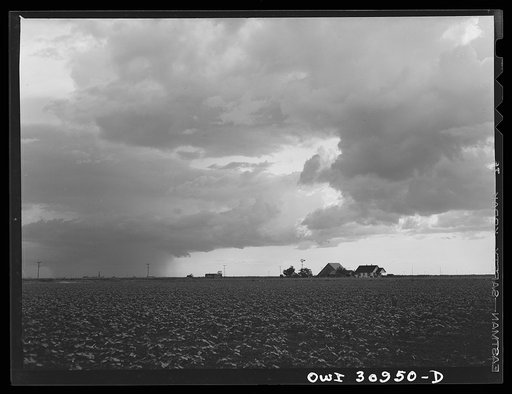 Victoria County, Texas. A farm