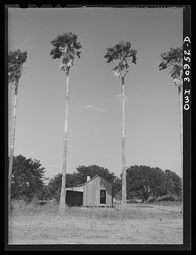 Harlingen, Texas. Abandoned shack