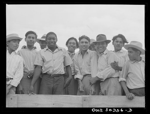 Corpus Christi, Texas. Mexican and Negro farm labor