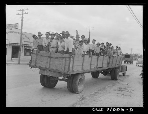 Corpus Christi, Texas. Truckload of Mexican and Negro farm laborers