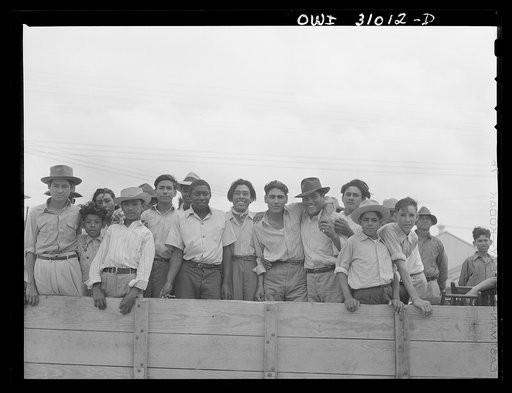 Corpus Christi, Texas. Mexican and Negro farm labor