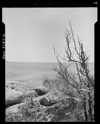 Gloucester, Massachusetts. The New England coast, lined with great masses of rocks