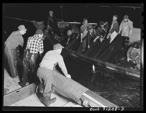 On board the fishing boat Alden, out of Gloucester, Massachusetts. Fishermen pulling in the nets at night. They often work from sunrise to sunset without stopping