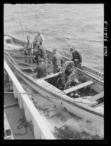 On board the fleshing boat Alden, out of Gloucester, Massachusetts. Part of the seining crew adjusting the seining nets to the seining boat on the first morning out. Franasco Parisi checking the small motor. This operation is performed at ten knots per hour
