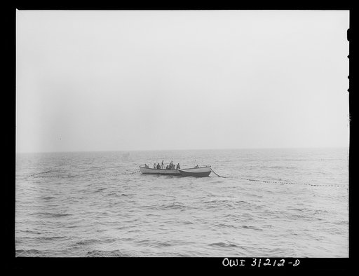 On board the fishing boat Alden, out of Gloucestr, Massachusetts. The crew beginning to pull in their nets after trapping a school of mackerel. The nets drop fifteen fathoms deep, but a smart school of mackerel sometimes swim beneath them