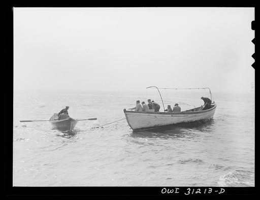 On board the fishing boat Alden, out of Gloucester, Massachusetts. During the chase of a mackerel school, the skipper signals for the rear dory to cut loose from the big boat. The big boat continues in a circle, towing the seining boat and net, which is dropped overboard as they go along. The dory, 