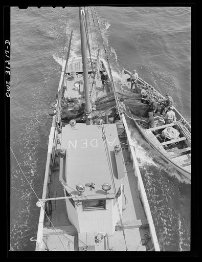 On board the fishing boat Alden, out of Gloucester, Massachusetts. On the first morning out to sea, the crew adjusting nets to the seining boat while going along at a speed of ten knots per hour