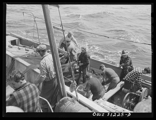 On board the fishing boat Alden, out of Gloucester, Massachusetts. Part of the crew adjusting the seining nets to the seining boat on the first morning out. Franasco Parisi checking the small motor. This operation is performed at ten knots per hour