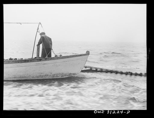 Untitled photo, possibly related to: On board the fishing boat Alden, out of Gloucester, Massachusetts. Fishermen chasing a school of mackerel