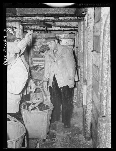 Untitled photo, possibly related to: The crew of the fishing boat Alden sending up baskets of mackerel to dock stevedores