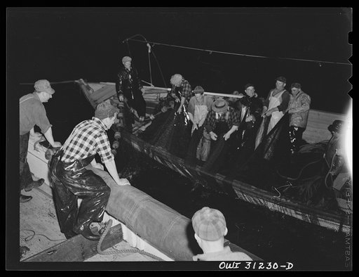 On board the fishing boat Alden, out of Gloucester, Massachusetts. Fishermen pulling in the nets at night. They often work from sunrise to sunset without stopping