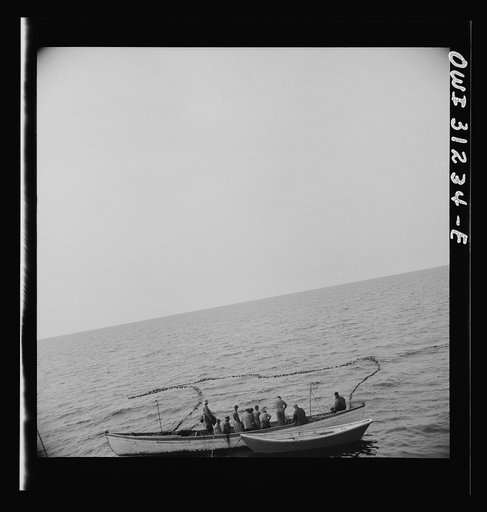 Untitled photo, possibly related to: On board the fishing boat Alden, out of Gloucester, Massachusetts. Fishermen pulling in their net, in which they hope to have trapped a school of mackerel. The big boat stands by ready to go alongside and receive the catch on her decks