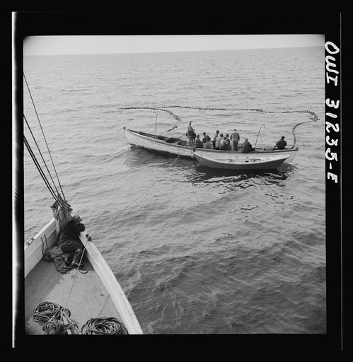 On board the fishing boat Alden, out of Gloucester, Massachusetts. Fishermen pulling in their net, in which they hope to have trapped a school of mackerel. The big boat stands by ready to go alongside and receive the catch on her docks