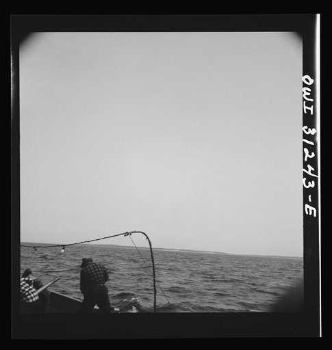 On board the fishing boat Alden out of Gloucester, Massachusetts. The seining boat cuts the water again after the skipper on the big boat sights another school of mackerel. One man is pumping water from the boat into the sea