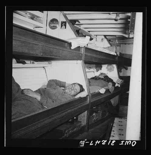 On board the fishing boat Alden, out of Gloucester, Massachusetts. Ship's cook preparing to broil freshly-caught mackerel for supper