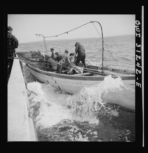On board the fishing boat Alden, out of Gloucester, Massachusetts. Fishermen resting after a twenty-four hour workout. Catholic images are above their bunks