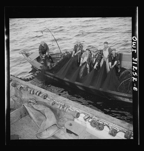 On board the fishing boat Alden, out of Gloucester, Massachusetts. Fishermen pulling in their nets so that the fish caught within them can be scooped out with a large dip net