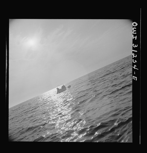 Untitled photo, possibly related to: On board the fishing boat Alden, out of Gloucestr, Massachusetts. The crew beginning to pull in their nets after trapping a school of mackerel. The nets drop fifteen fathoms deep, but a smart school of mackerel sometimes swim beneath them
