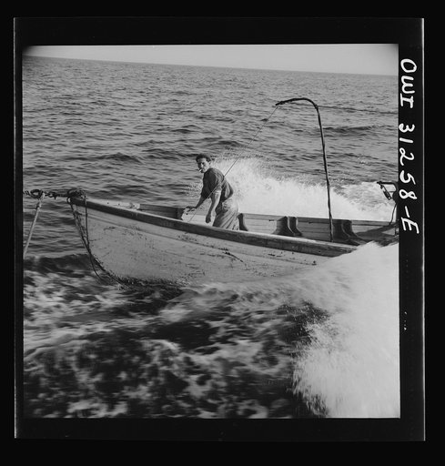 Giacomo Frusteri in the prow of the seining boat as it races to encircle a school of mackerel. Gloucester, Massachusetts