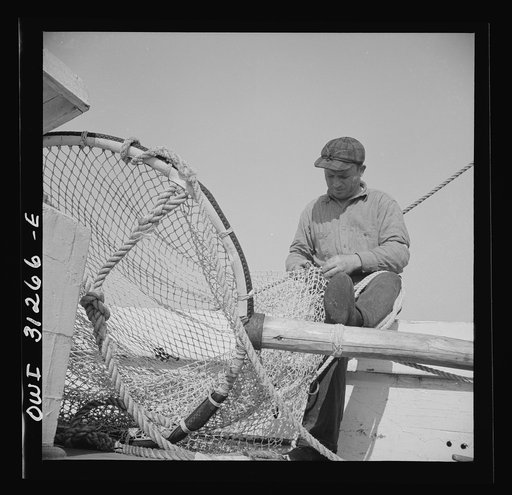 Frank Mineo, owner and skipper of the New England fishing boat Alden. Gloucester, Massachusetts