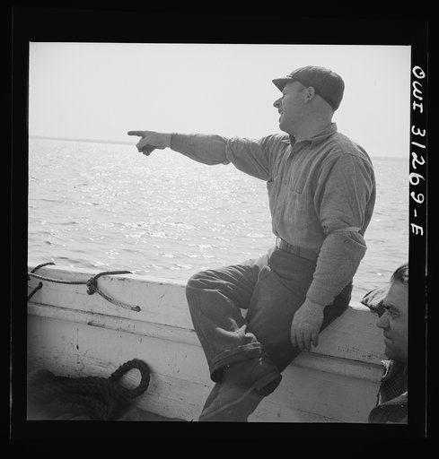 On board the fishing boat Alden out of Gloucester, Massachusetts. Frank Mineo, owner and skipper, shouting orders to his crew
