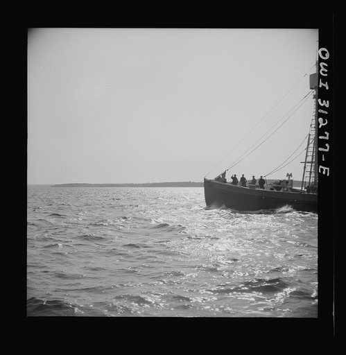 Untitled photo, possibly related to: On board the fishing boat Alden out of Gloucester, Massachusetts. Fishermen on a boat heading for Gloucester giving the location of large schools of mackerel to the Alden's crew as the boats pass