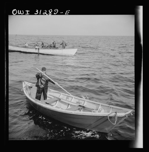 On board the fishing boat Alden, out of Gloucester, Massachusetts. An Italian fisherman paddling his dory "Indian style" back to the mother ship
