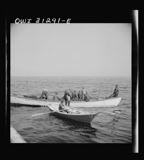 On board the fishing boat Alden, out of Gloucester, Massachusetts. Gloucester fishermen in their dories at sea