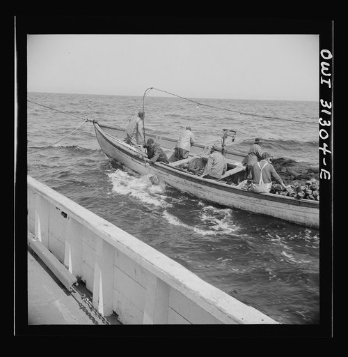 On board the fishing boat Alden, out of Gloucester, Massachusetts. Fishermen chasing a school of mackerel