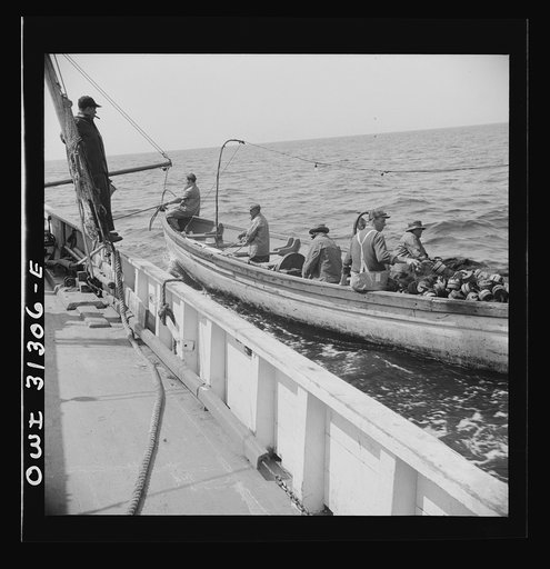 On board the fishing boat Alden, out of Gloucester, Massachusetts. A dory being pulled alongside the mother ship