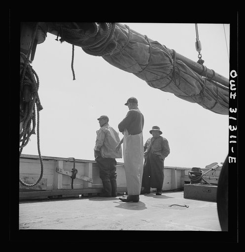 On board the fishing boat Alden out of Gloucester, Massachusetts. Fishermen on the boat