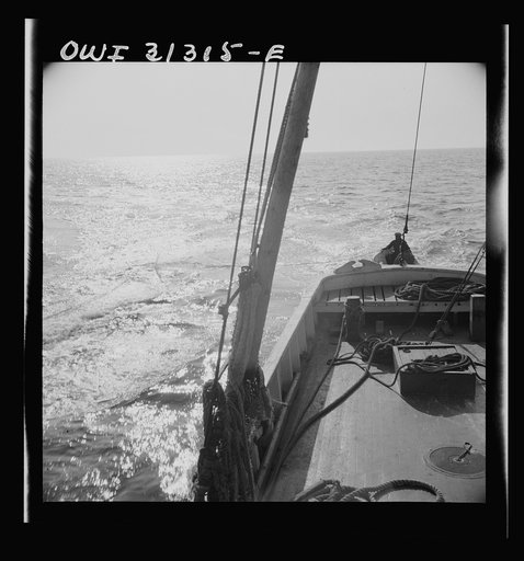Untitled photo, possibly related to: On board the fishing boat Alden, out of Glocester, Massachusetts. Fishermen cleaning mackerel